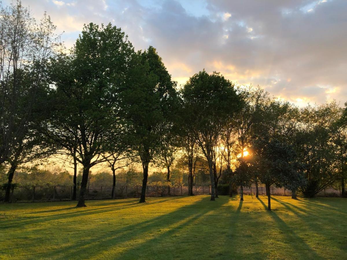 La Bergerie Des Landes Villa Lit-et-Mixe Buitenkant foto