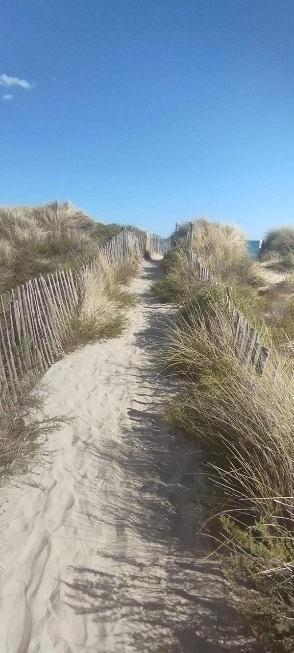La Bergerie Des Landes Villa Lit-et-Mixe Buitenkant foto